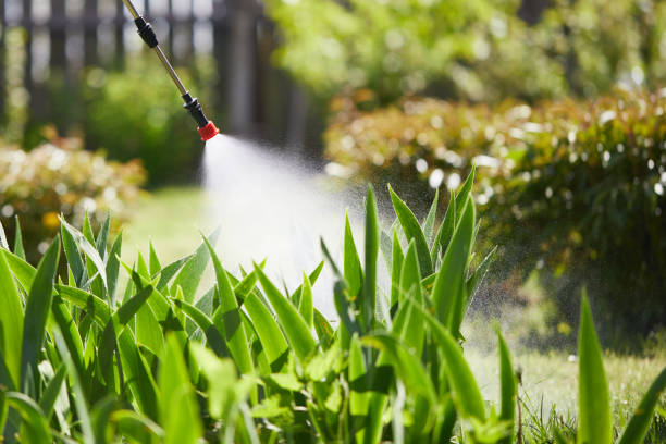 24/7 Emergency Mosquito Control experts in Andrews, IN